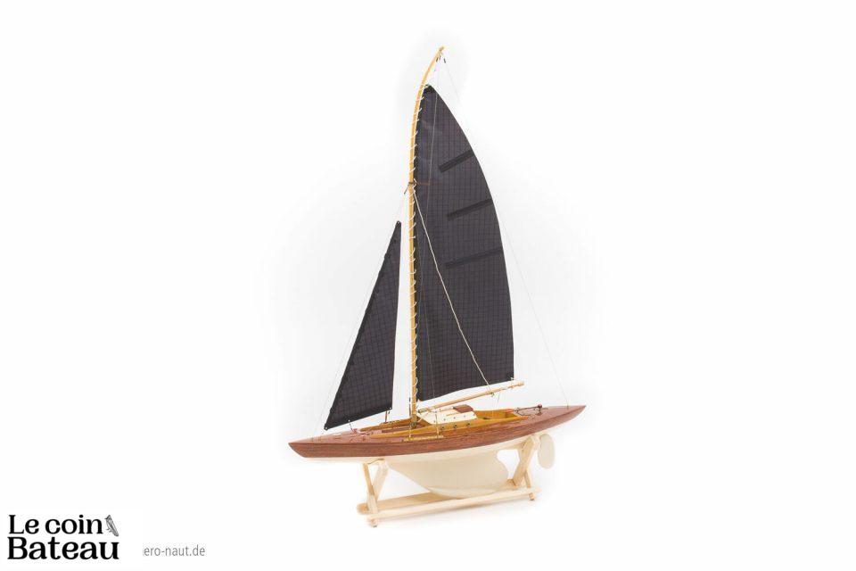 301000-Pinguin-IMG_0073